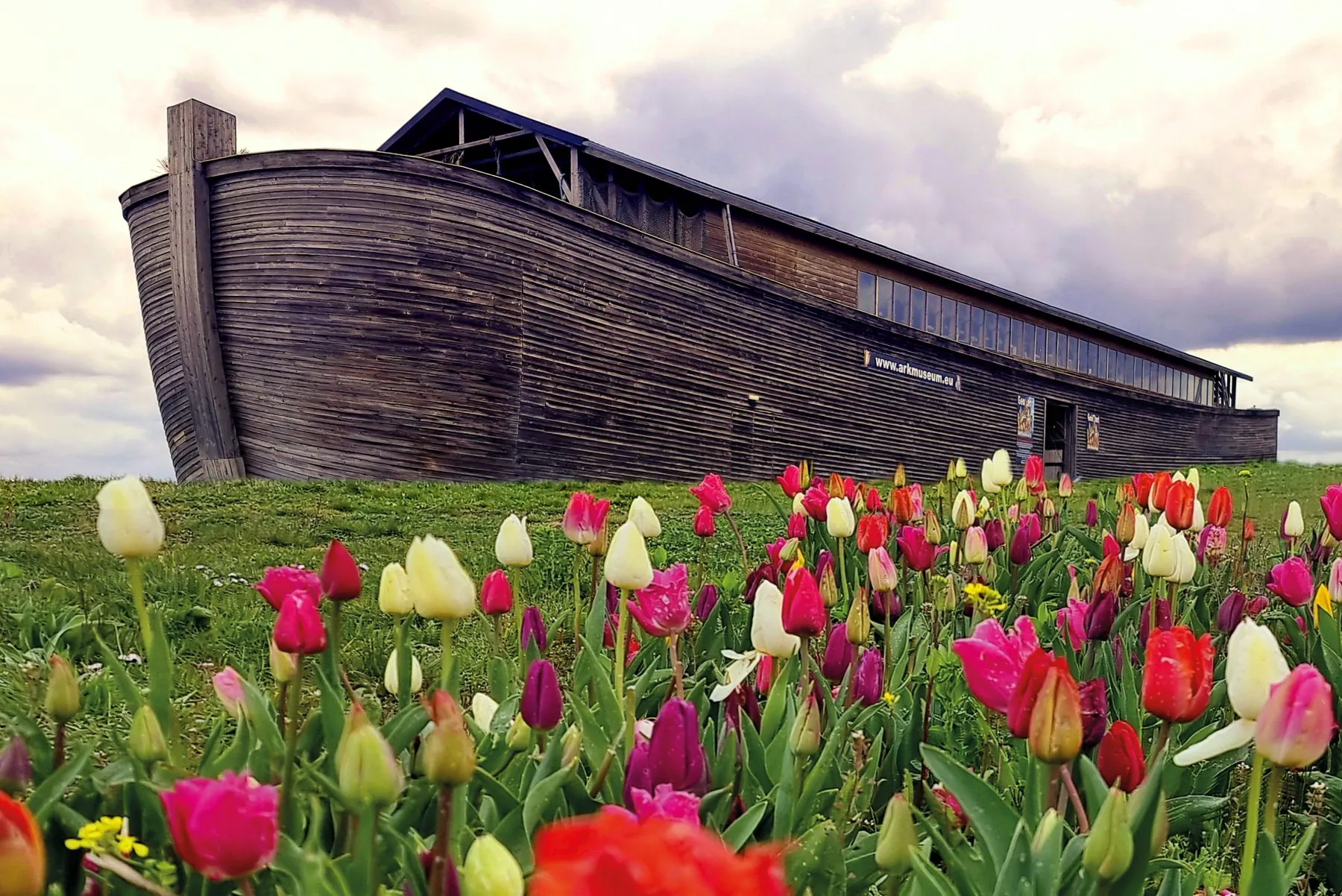Noah's Ark