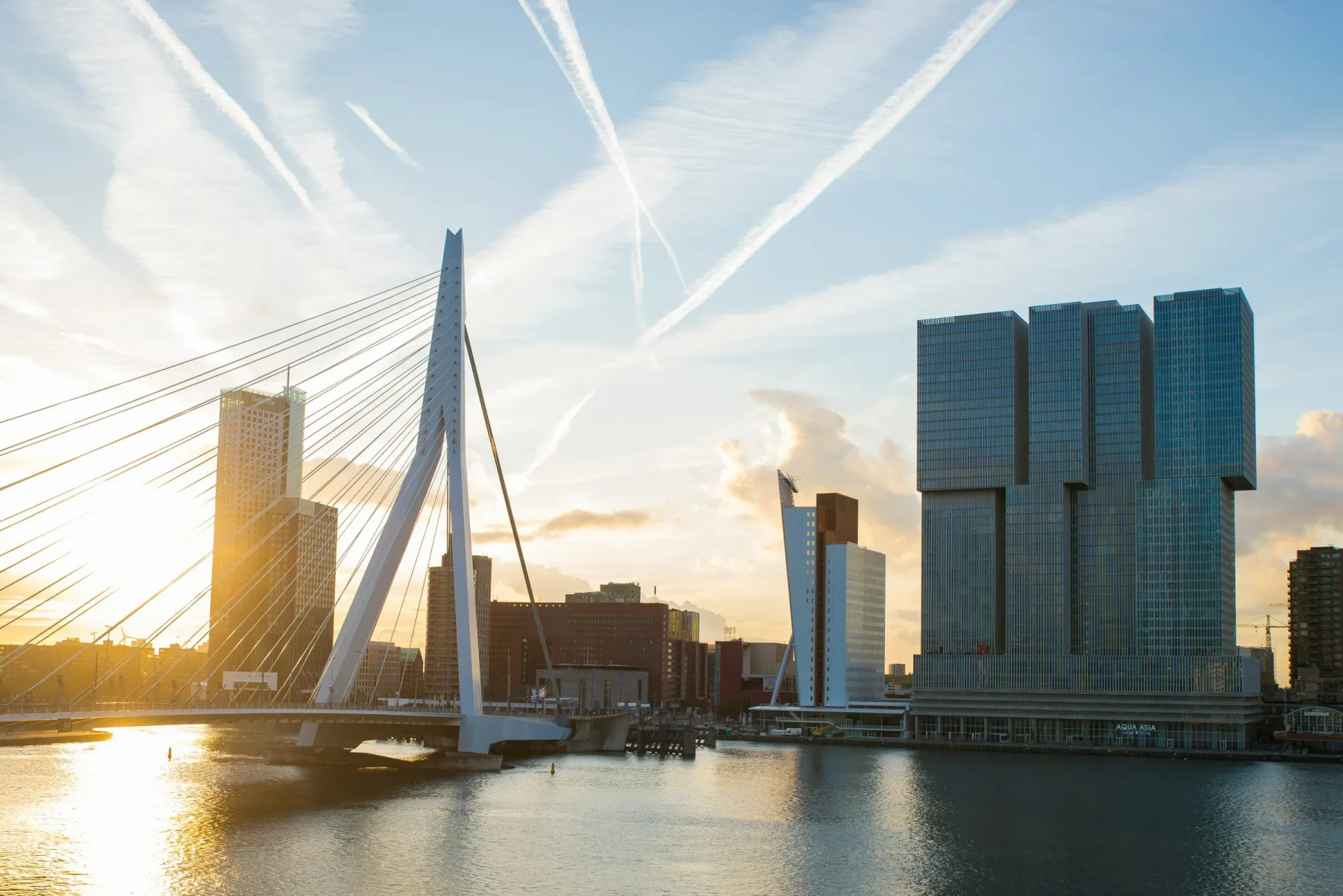 De Erasmusbrug en De Rotterdam vanaf het water